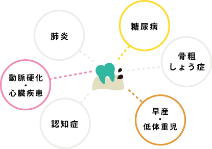 動脈硬化・心臓疾患、肺炎、糖尿病、、骨粗しょう症、早産・低体重児、認知症